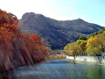 新澳天天开奖资料大全旅游团，黑帽seo高手